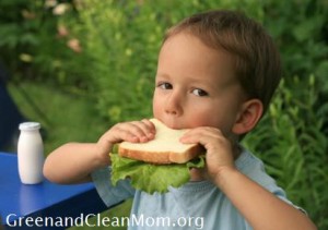 Eating healthy sandwich
